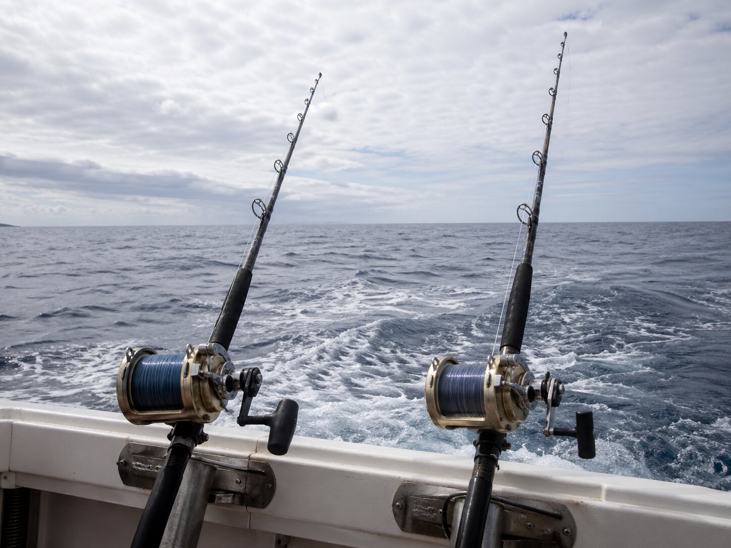Big game trolling rods on the Tuna Pro boat